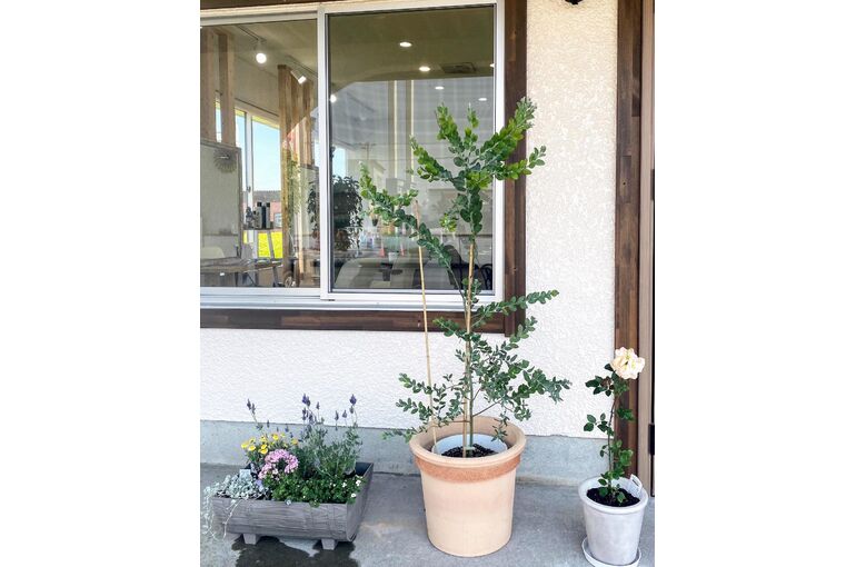 DA911296-68F3-44C3-B2E5-91F7AE7A127D